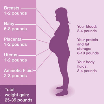 How much weight should you gain while pregnancy